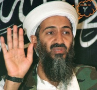 Bin laden